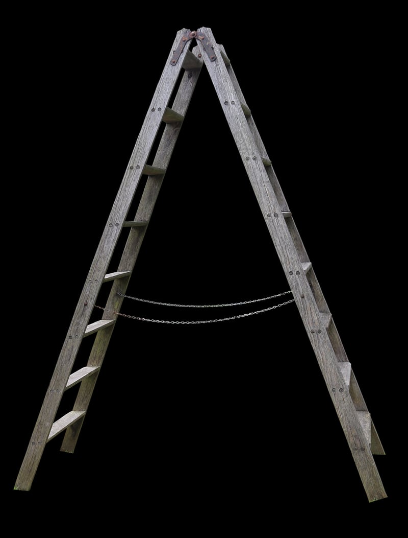 Ladder Display