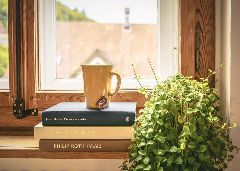 Window Sill Hooks